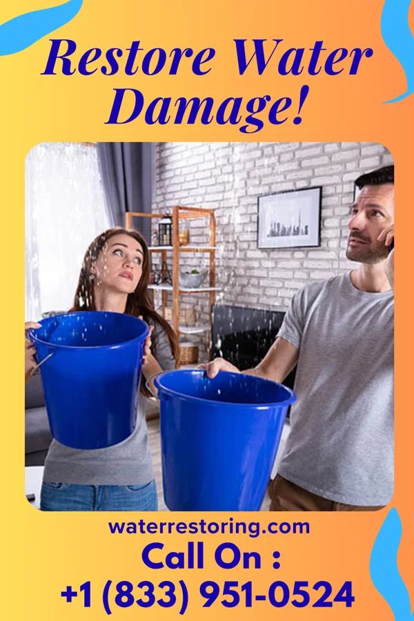 water restoration Titan Water Removal & Associates Lake Lotawana