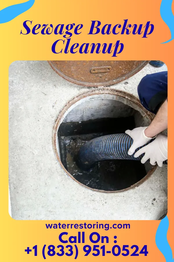 Sewage Backup Cleanup in Lake Lotawana, MO